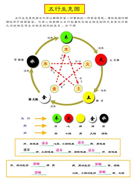 杏色 五行|易经中的五行对应颜色